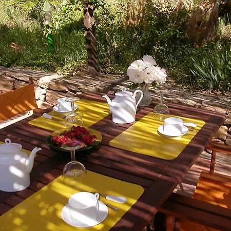 Sotto La Palma Bed & Breakfast