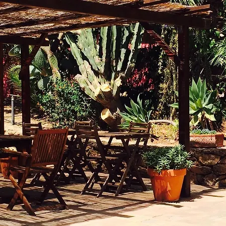 Sotto La Palma Sciacca